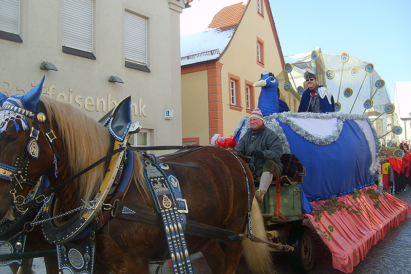 Prinzenwagen 2010 - Pfau